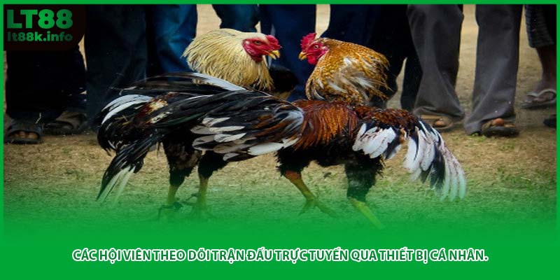 Các hội viên theo dõi trận đấu trực tuyến qua thiết bị cá nhân.