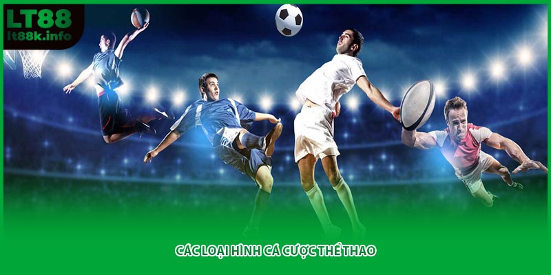 Các loại hình cá cược thể thao