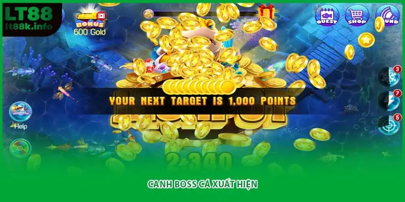 Canh boss cá xuất hiện