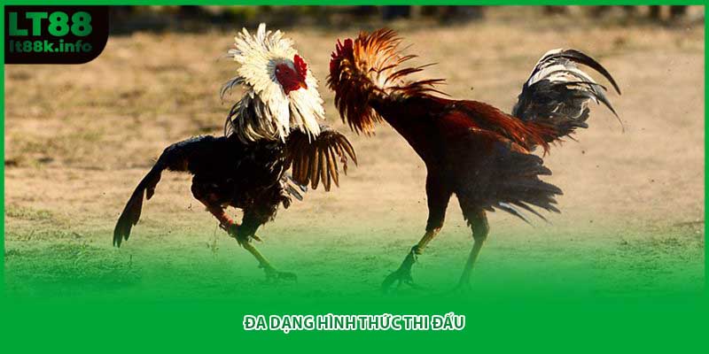 Đa dạng hình thức thi đấu