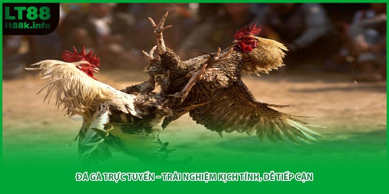 Đá Gà Trực Tuyến – Trải Nghiệm Kịch Tính, Dễ Tiếp Cận