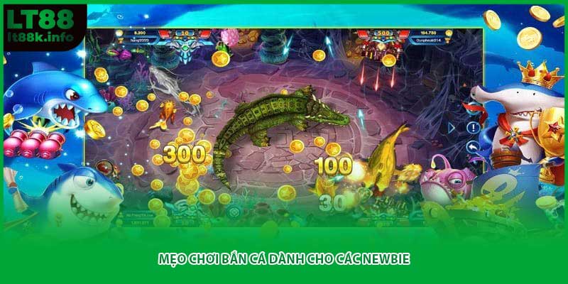 Mẹo chơi bắn cá dành cho các newbie
