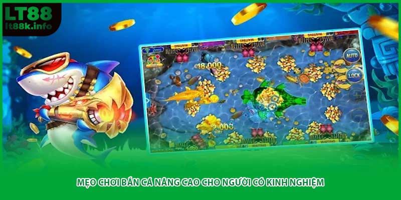 Mẹo chơi bắn cá nâng cao cho người có kinh nghiệm