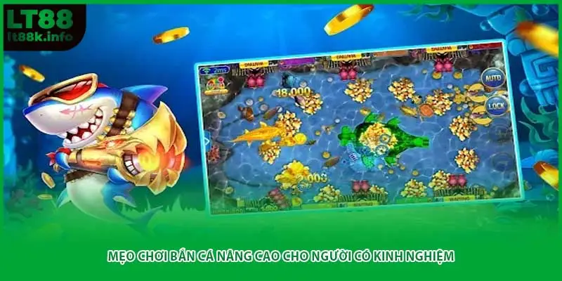 Mẹo chơi bắn cá nâng cao cho người có kinh nghiệm