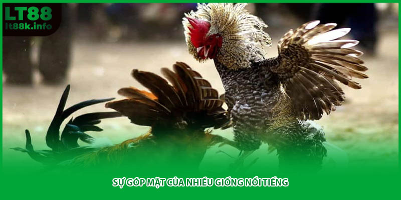 Sự góp mặt của nhiều giống nổi tiếng