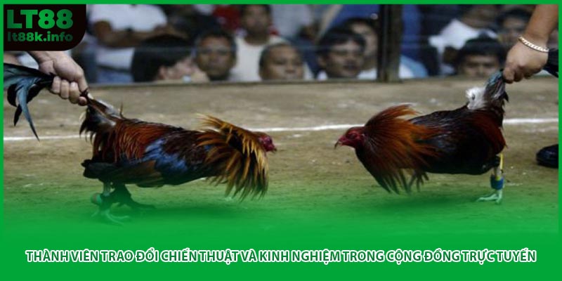 Thành viên trao đổi chiến thuật và kinh nghiệm trong cộng đồng trực tuyến.